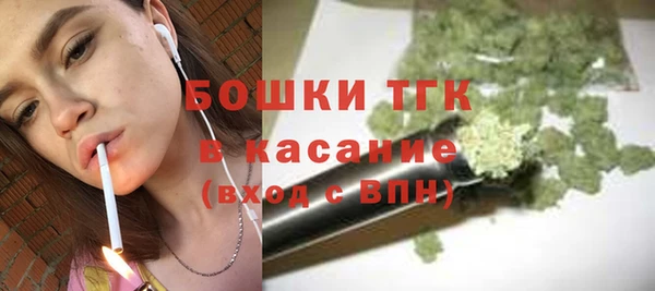 сатива Михайлов