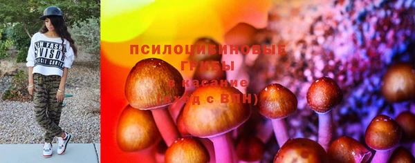 сатива Михайлов